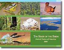 news-imageState of the Birds report cover
