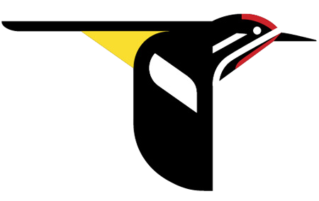 news-imageLab of Ornithology logo