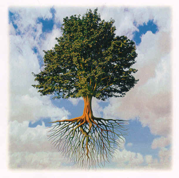 news-imageFET Tree logo